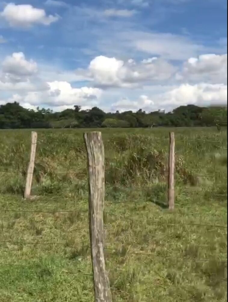 Fazenda, 87 m² - Foto 7