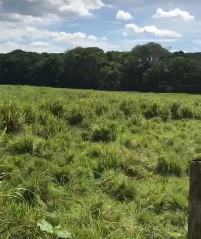 Fazenda, 87 m² - Foto 12