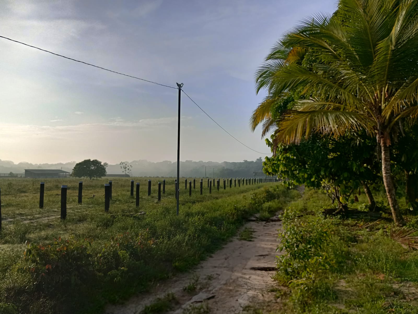 Fazenda à venda com 3 quartos, 125m² - Foto 24