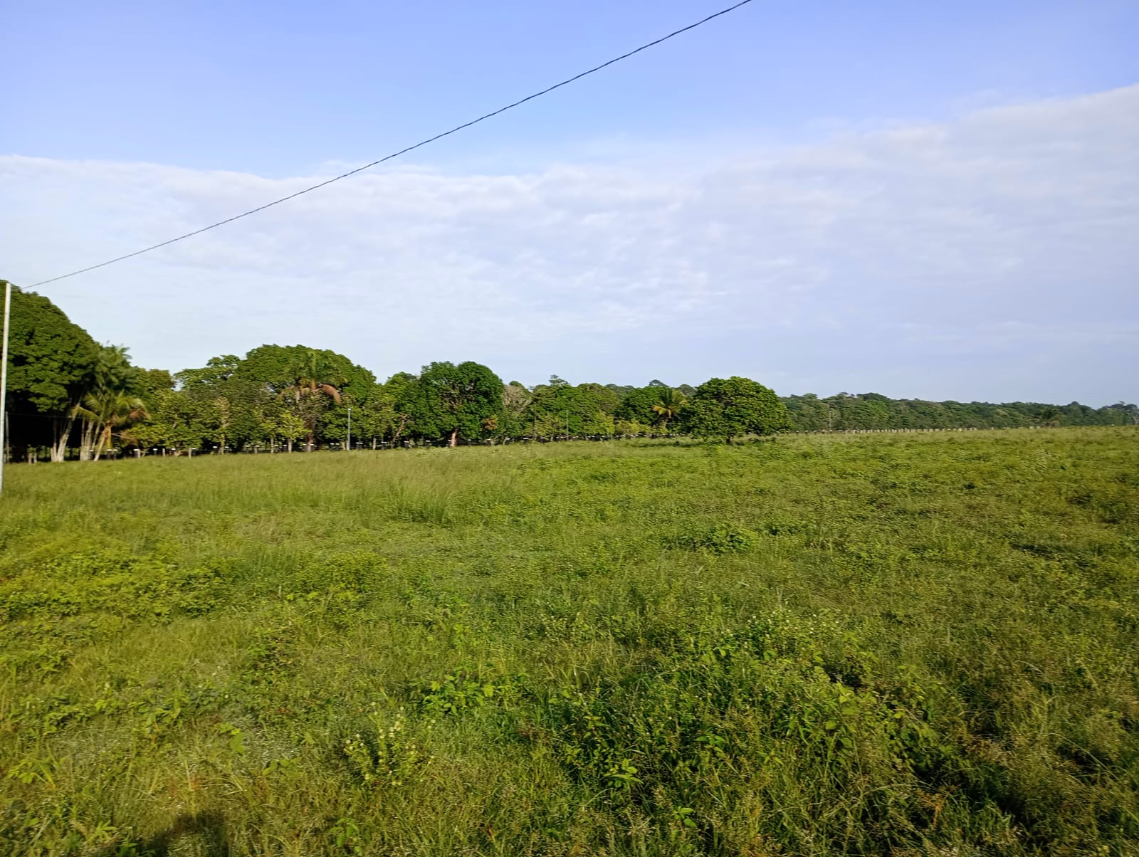 Fazenda à venda com 3 quartos, 125m² - Foto 21