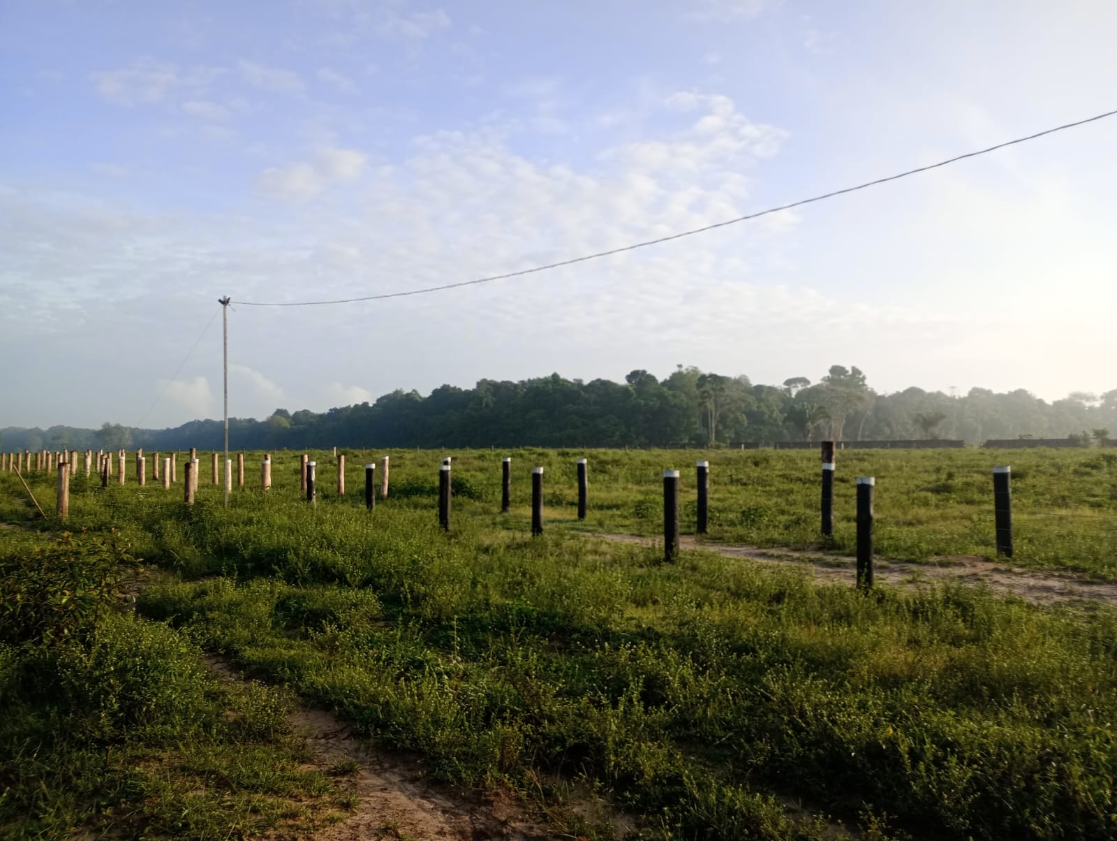 Fazenda à venda com 3 quartos, 125m² - Foto 23