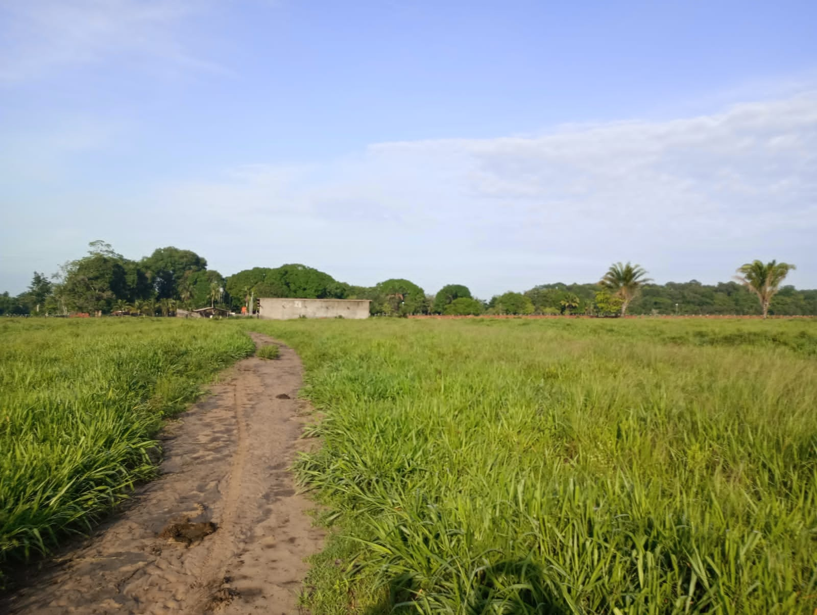 Fazenda à venda com 3 quartos, 125m² - Foto 3