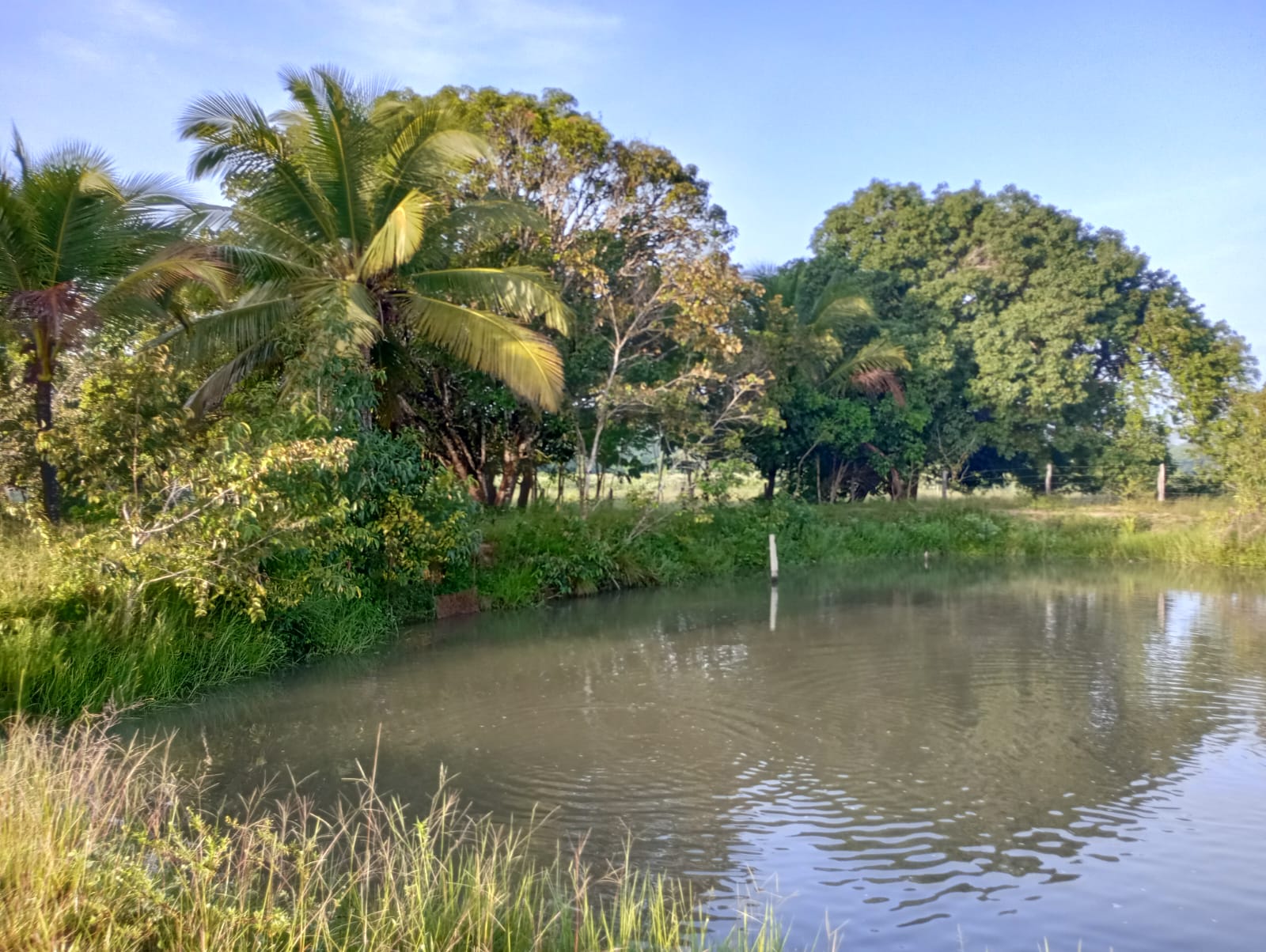 Fazenda à venda com 3 quartos, 125m² - Foto 33