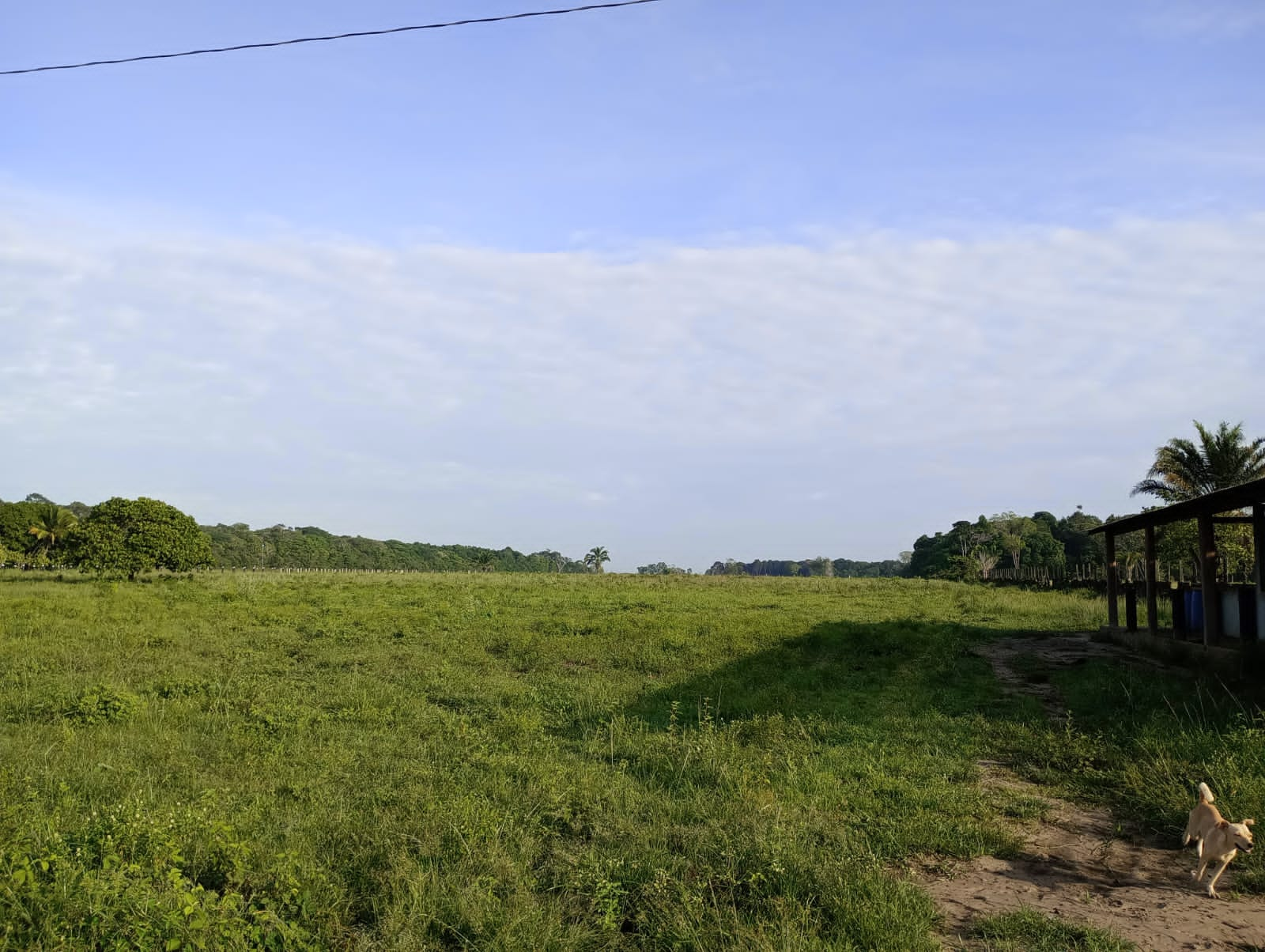 Fazenda à venda com 3 quartos, 125m² - Foto 9