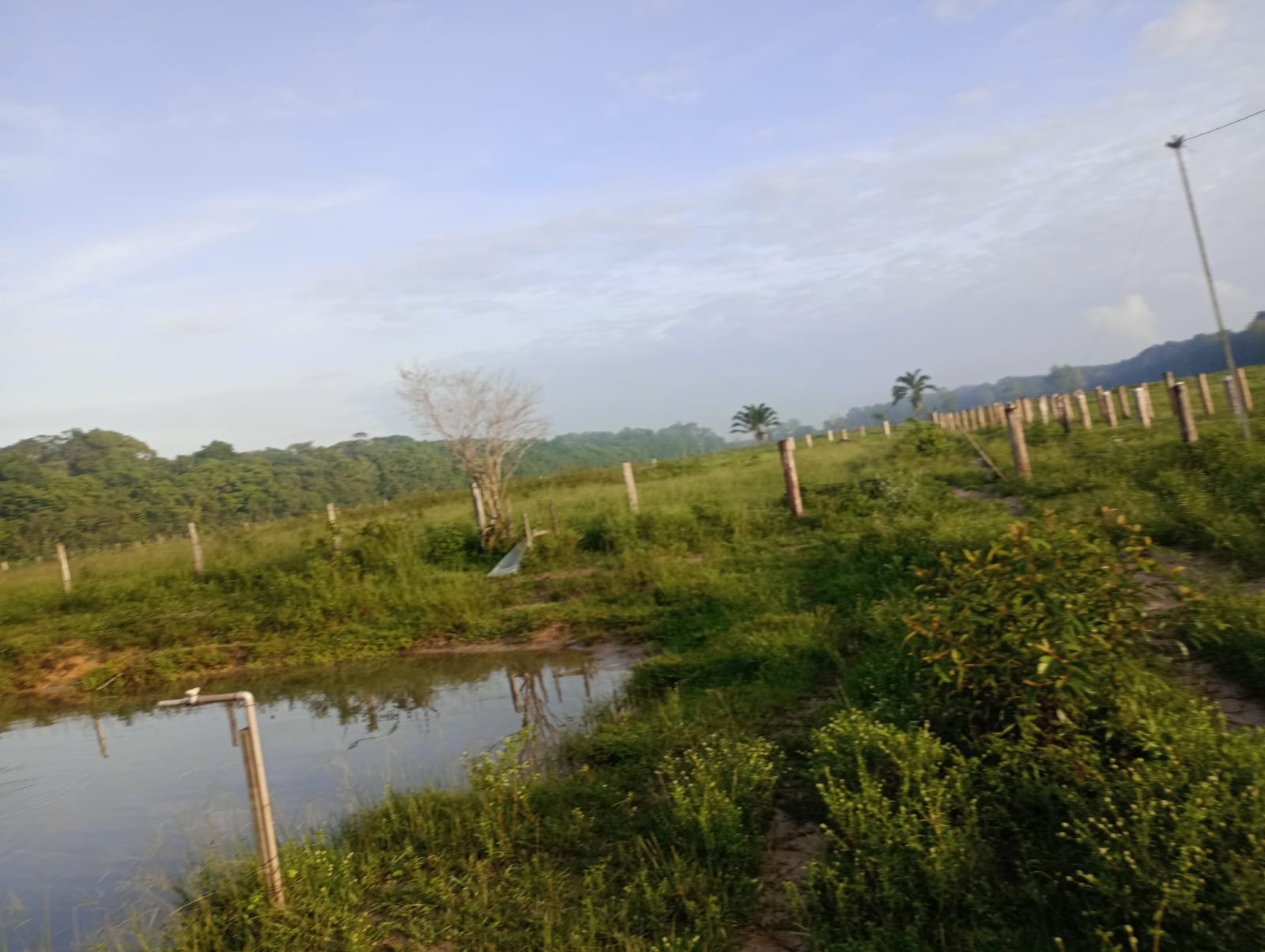 Fazenda à venda com 3 quartos, 125m² - Foto 31