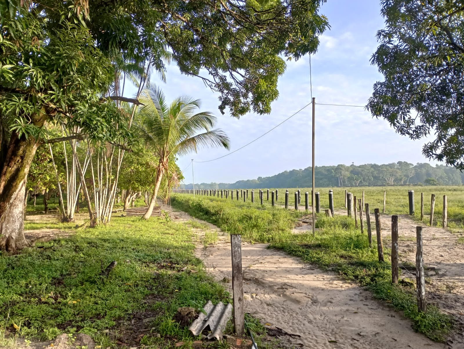 Fazenda à venda com 3 quartos, 125m² - Foto 7