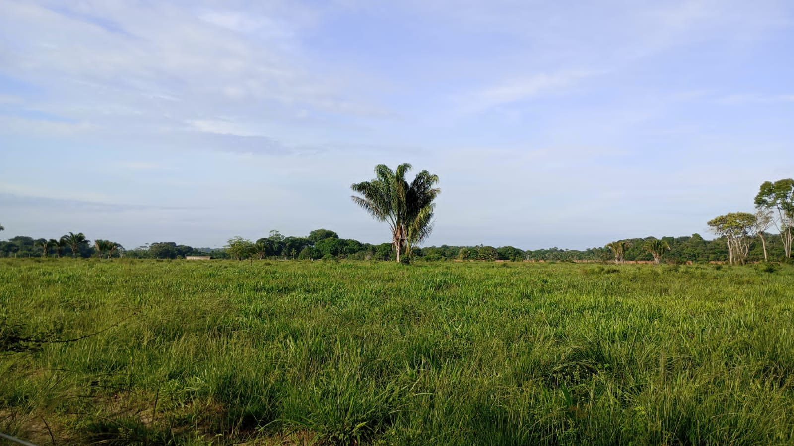 Fazenda à venda com 3 quartos, 125m² - Foto 35