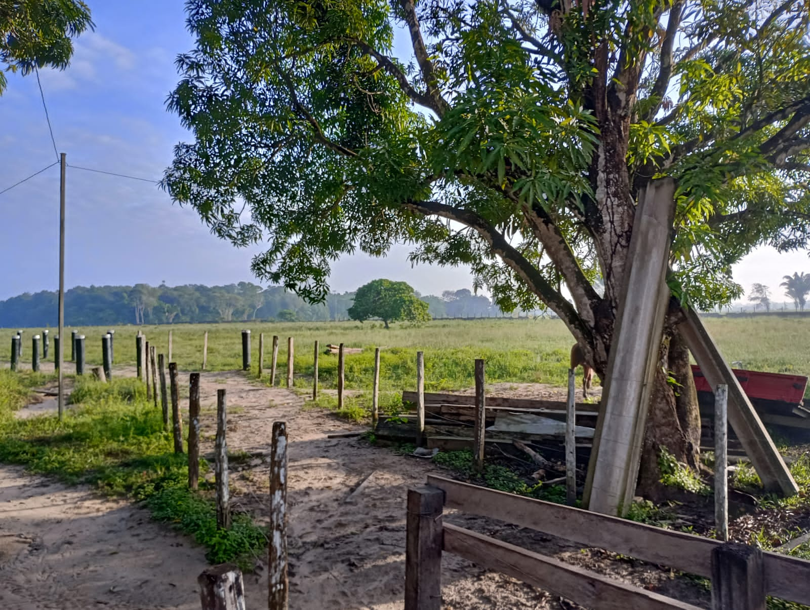 Fazenda à venda com 3 quartos, 125m² - Foto 18