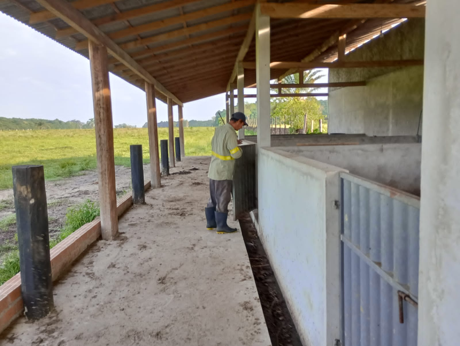 Fazenda à venda com 3 quartos, 125m² - Foto 12