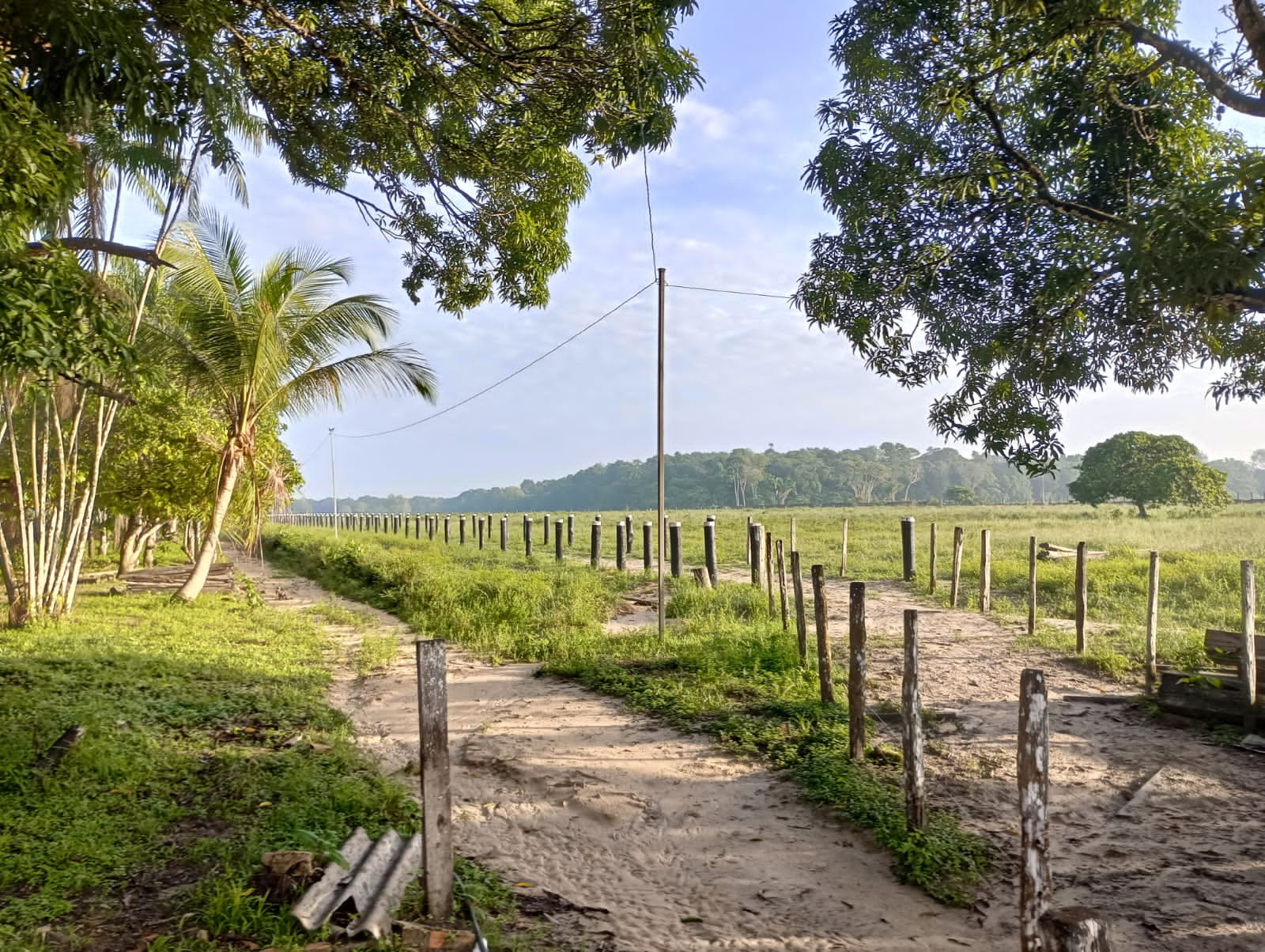 Fazenda à venda com 3 quartos, 125m² - Foto 34