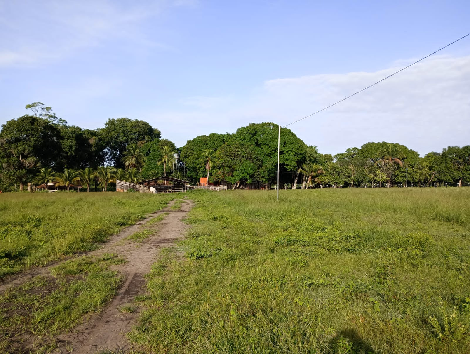 Fazenda à venda com 3 quartos, 125m² - Foto 17