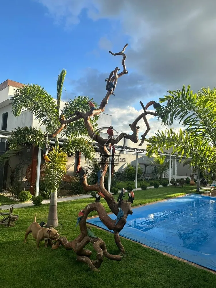 Casa, 4 quartos, 300 m² - Foto 9