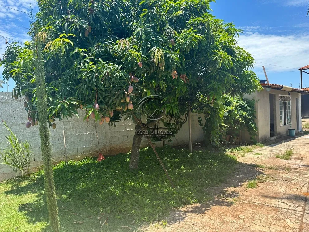 Casa, 4 quartos, 845 m² - Foto 2