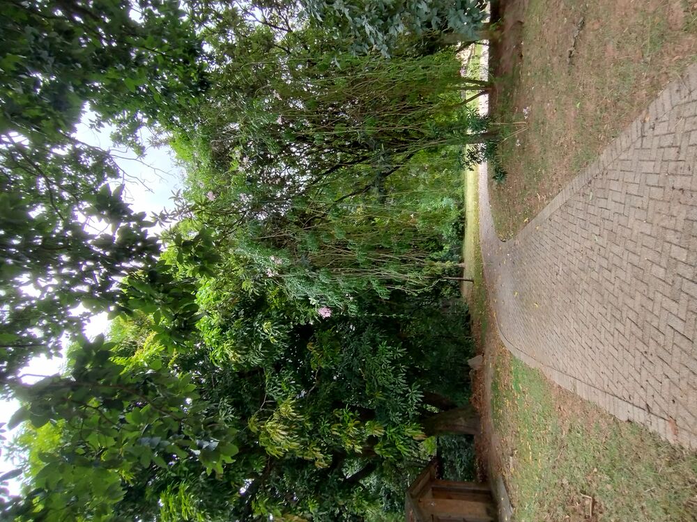 Terreno, 4458 m² - Foto 10