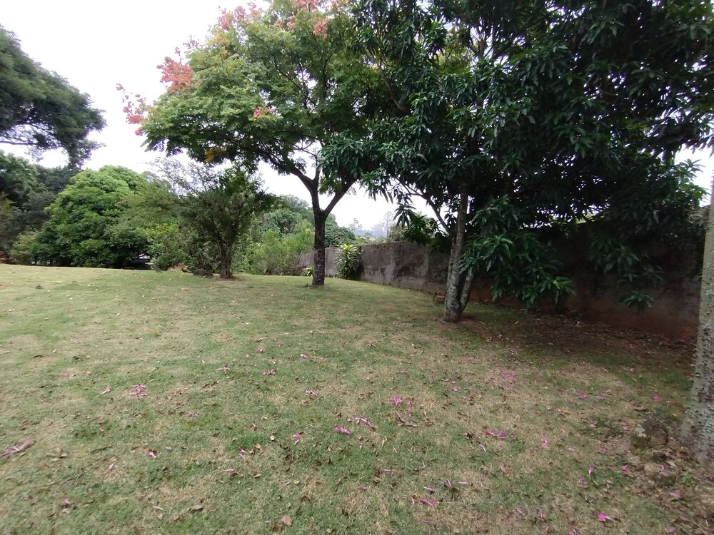 Terreno, 4458 m² - Foto 1