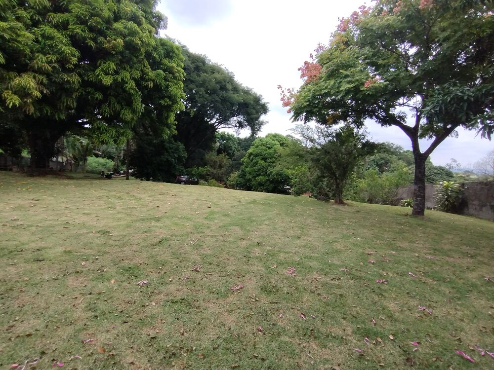 Terreno, 4458 m² - Foto 4