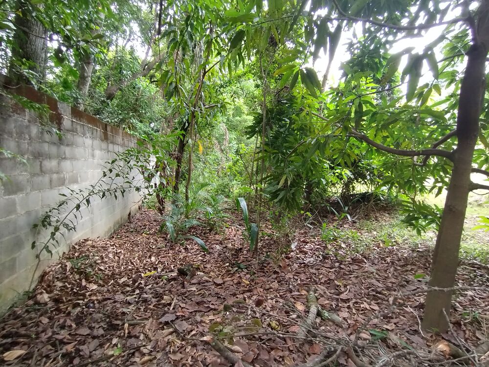Terreno, 4458 m² - Foto 47