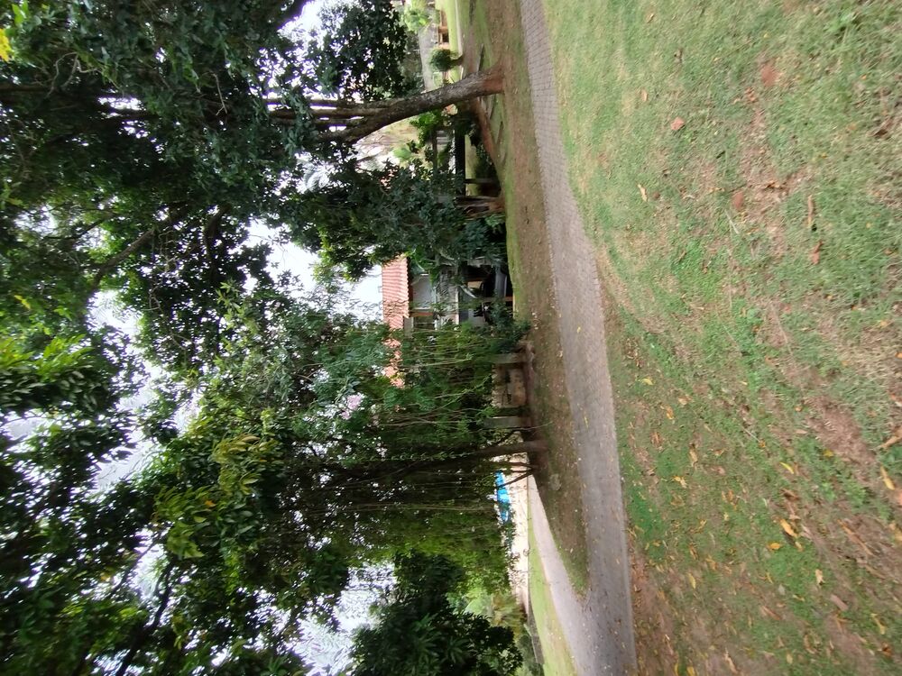 Terreno, 4458 m² - Foto 8