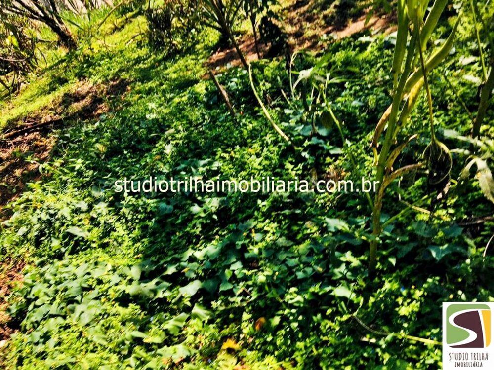 Chácara, 3 quartos - Foto 7