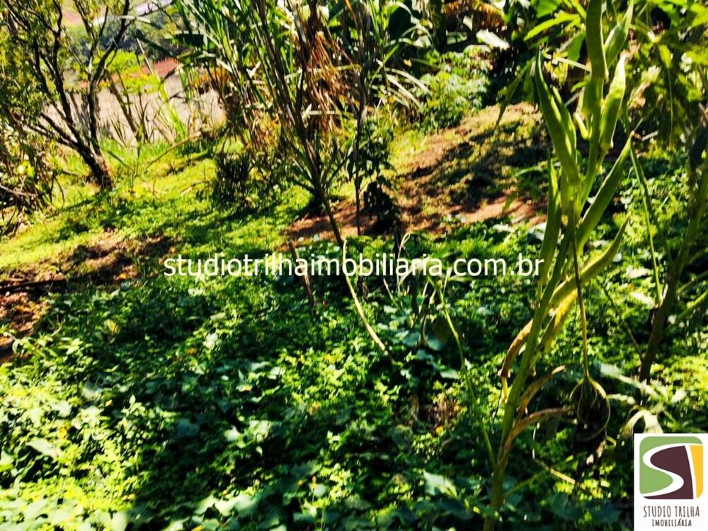 Chácara, 3 quartos - Foto 5