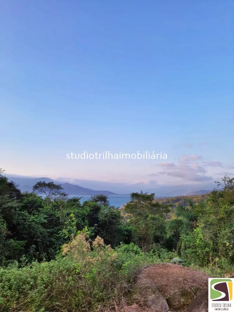 Terreno, 3 hectares - Foto 4