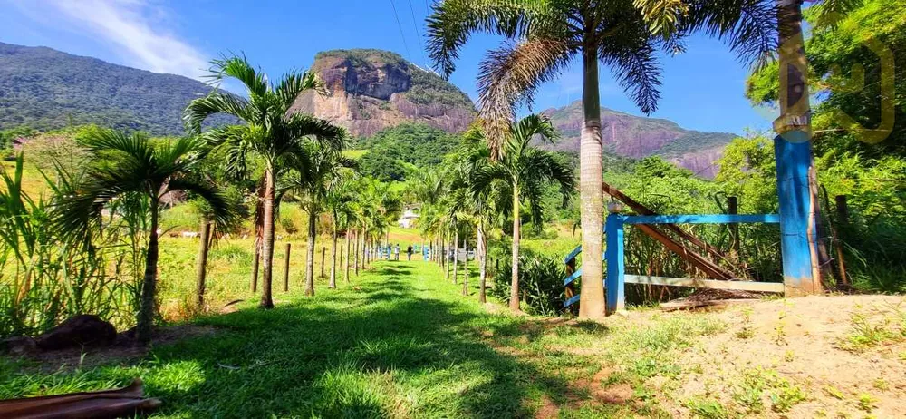 Sítio, 4 quartos, 10 m² - Foto 34