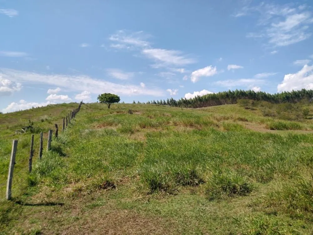 Fazenda, 2 hectares - Foto 4