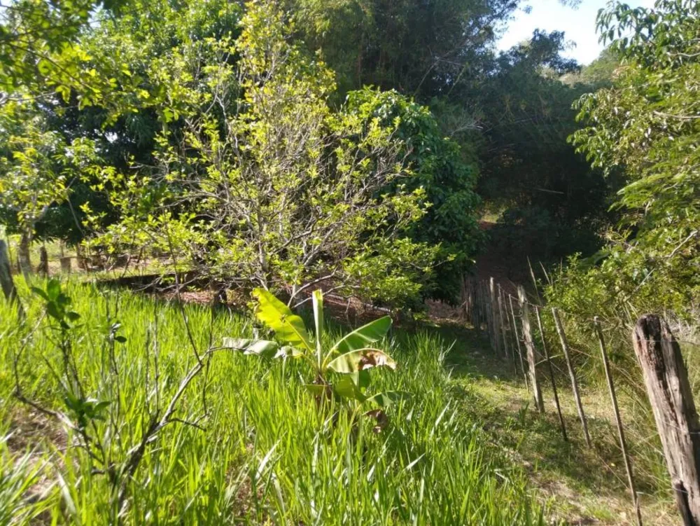 Sítio, 2 hectares - Foto 12
