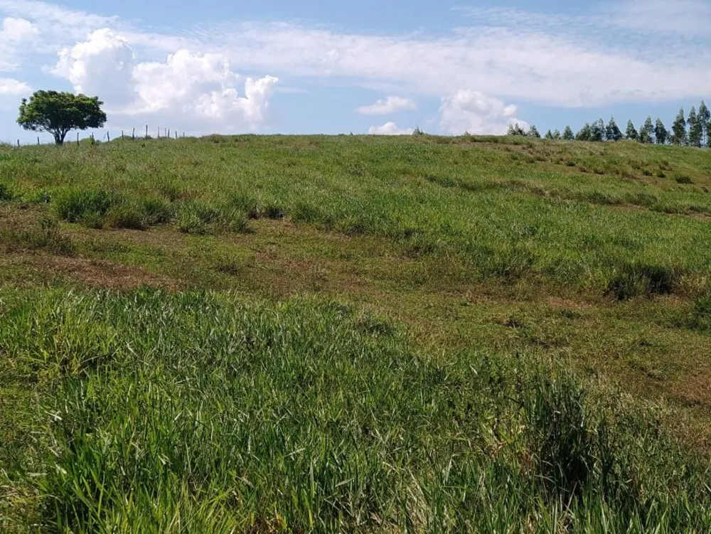 Sítio, 2 hectares - Foto 28