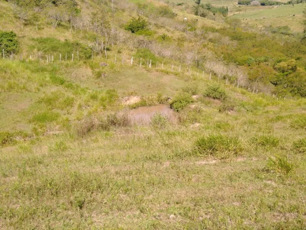 Sítio, 2 hectares - Foto 18