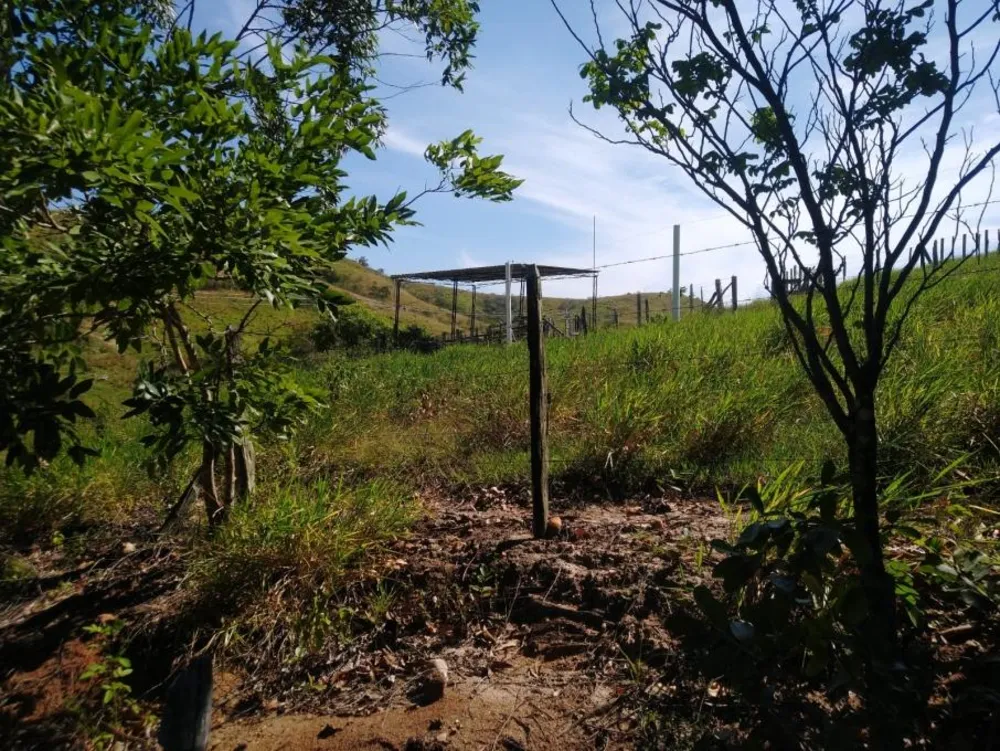 Sítio, 2 hectares - Foto 1
