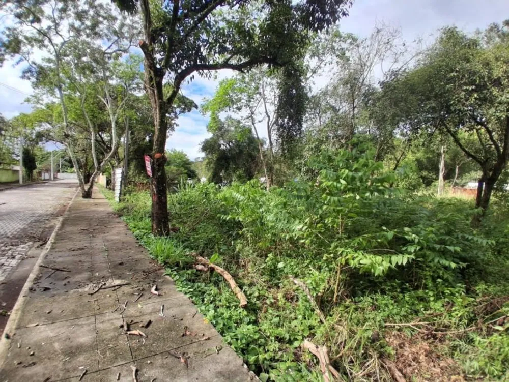 Terreno, 800 m² - Foto 2