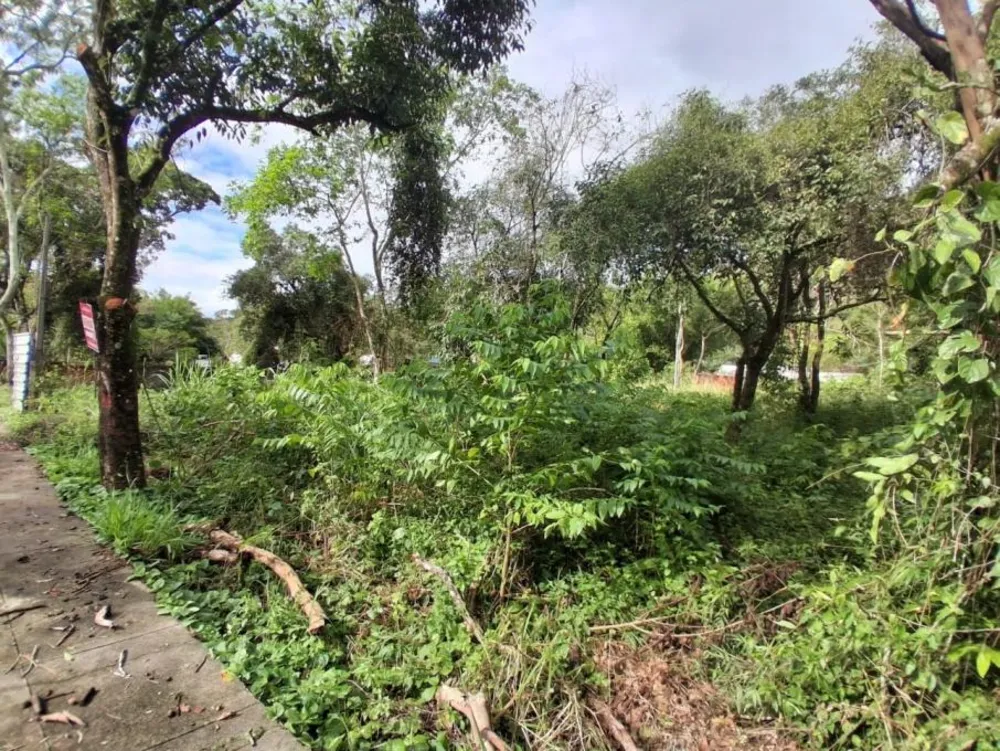 Terreno, 800 m² - Foto 7