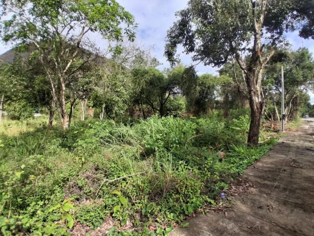 Terreno, 800 m² - Foto 4