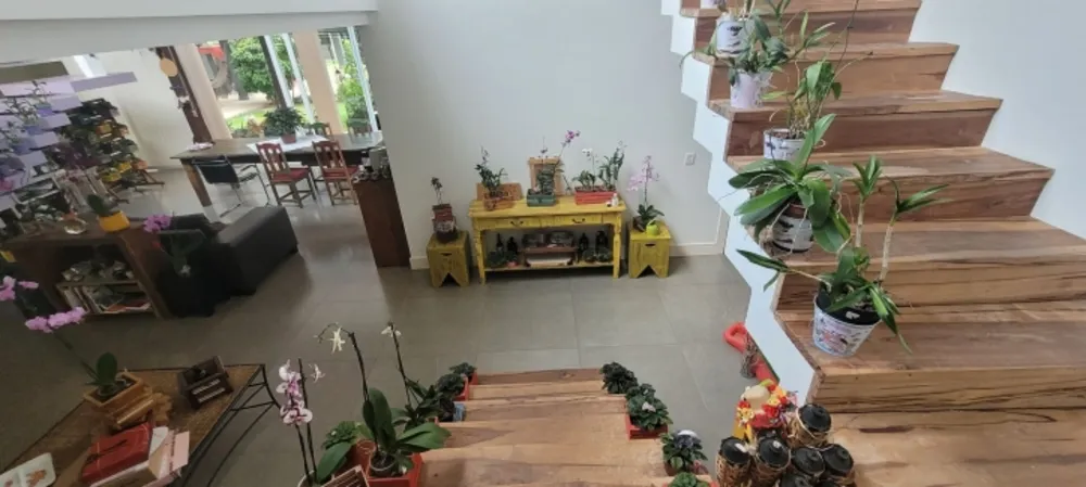 Casa, 3 quartos, 560 m² - Foto 1