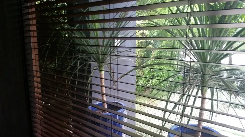 Casa, 5 quartos, 350 m² - Foto 2