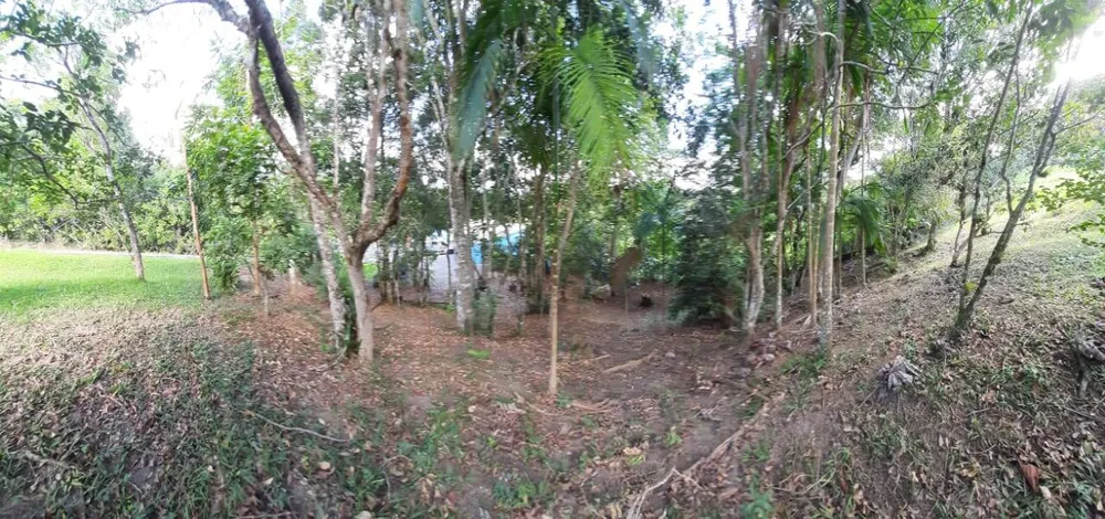 Chácara, 3 quartos, 1 hectares - Foto 3
