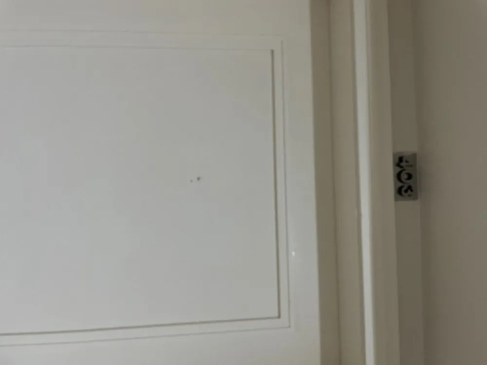 Cobertura, 4 quartos, 250 m² - Foto 10