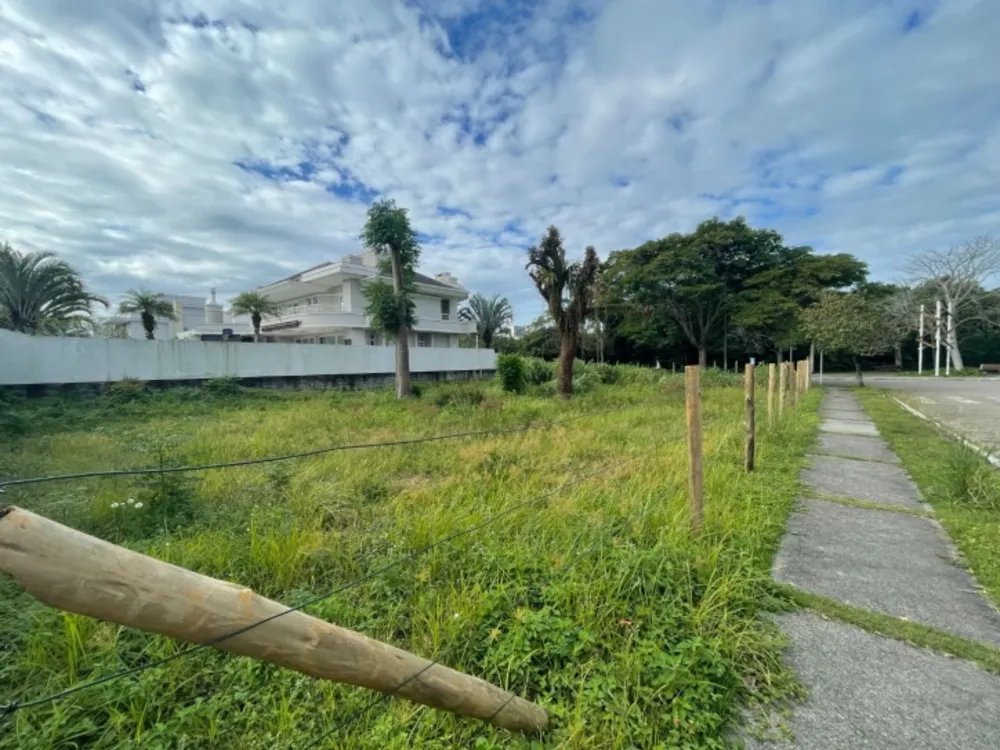 Terreno, 598 m² - Foto 6