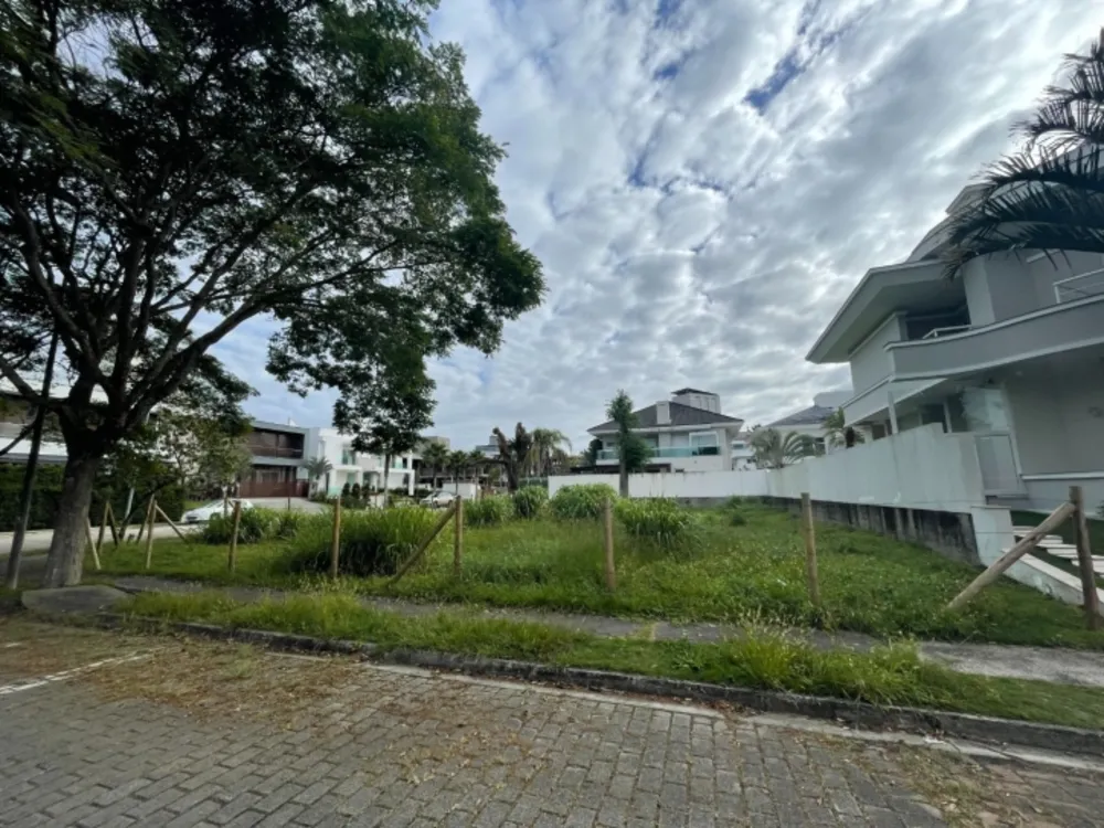 Terreno, 598 m² - Foto 7