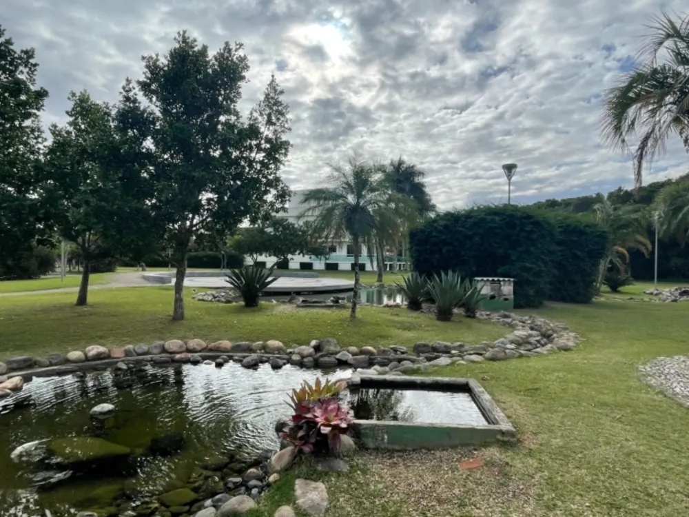 Terreno, 598 m² - Foto 11
