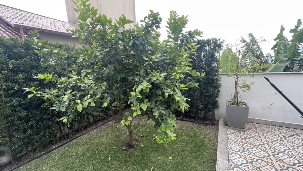 Apartamento, 4 quartos, 240 m² - Foto 6