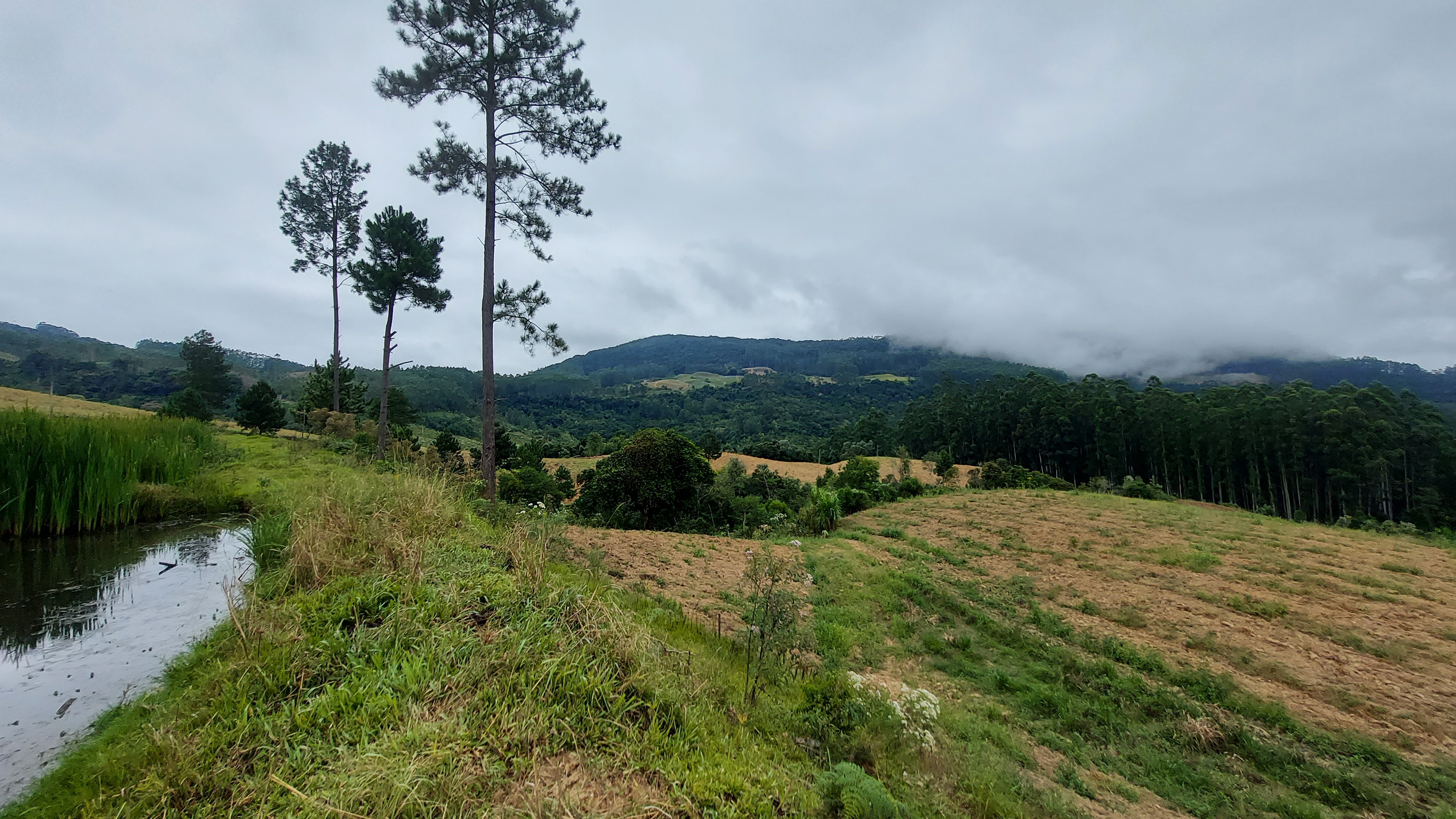 Sítio à venda com 3 quartos, 260000m² - Foto 33