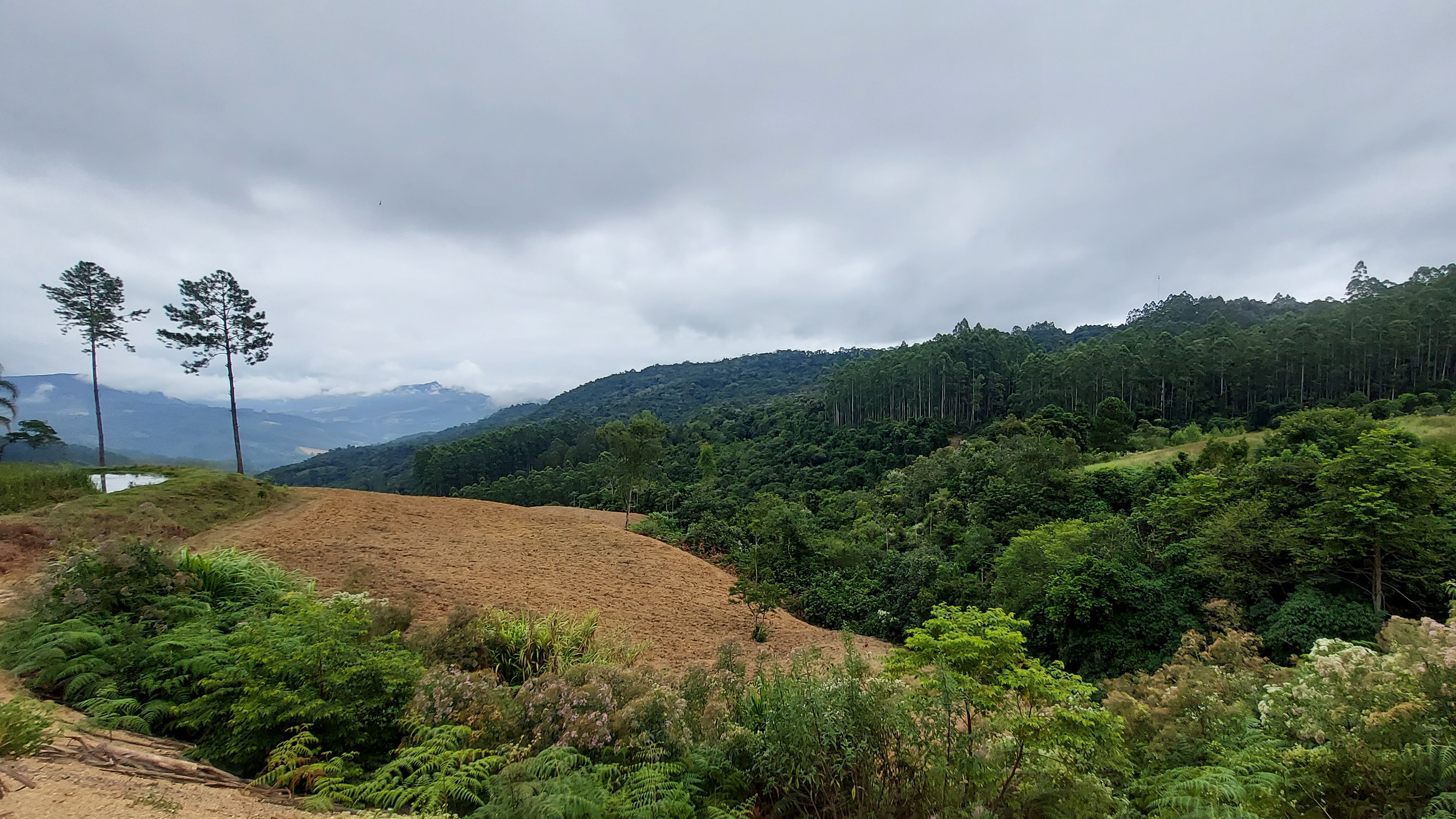 Sítio à venda com 3 quartos, 260000m² - Foto 36