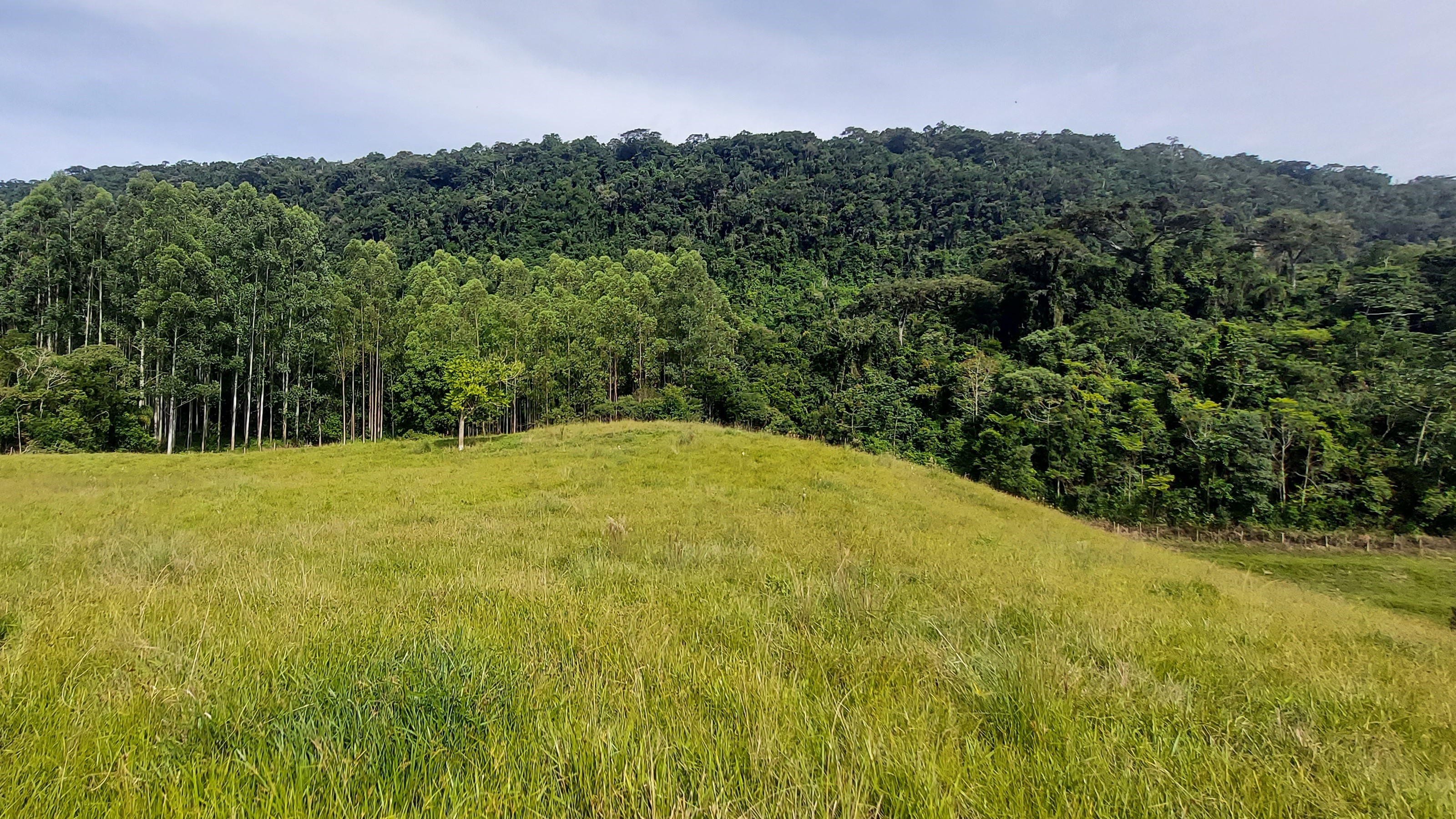 Sítio à venda, 220000m² - Foto 21