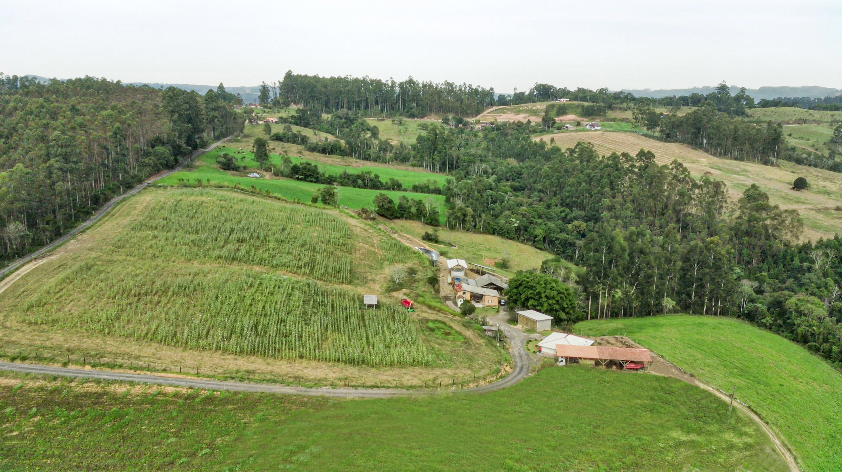 Sítio à venda com 3 quartos, 205000m² - Foto 9