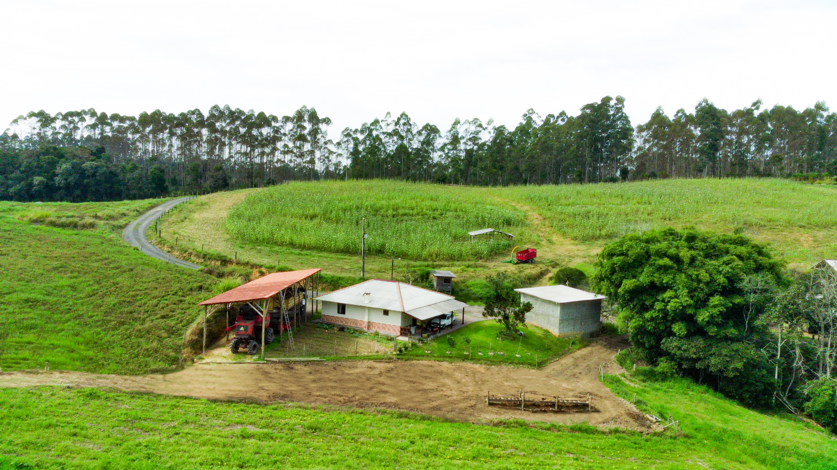 Sítio à venda com 3 quartos, 205000m² - Foto 36