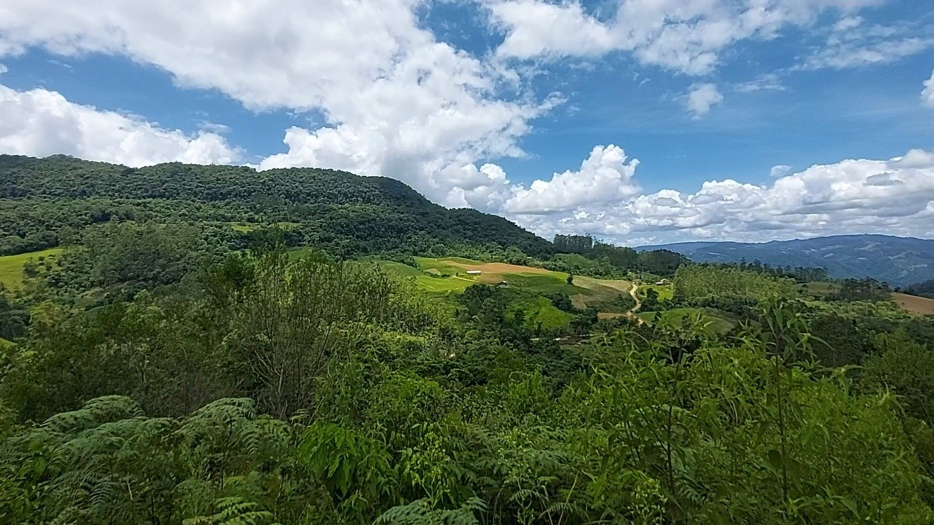 Sítio à venda com 8 quartos, 120000m² - Foto 13