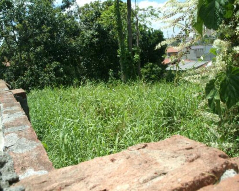 Terreno, 720 m² - Foto 4