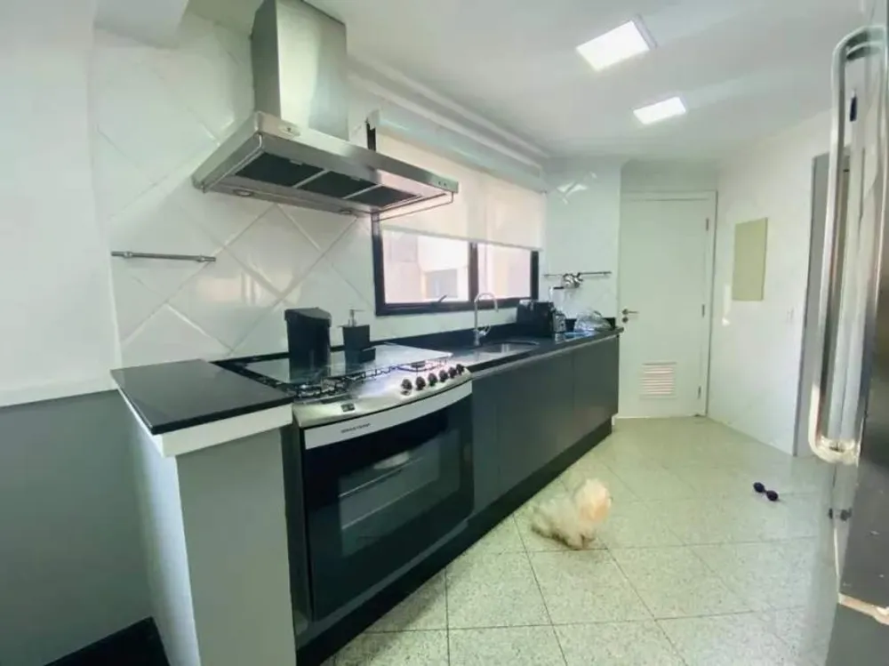 Cobertura, 5 quartos, 360 m² - Foto 3